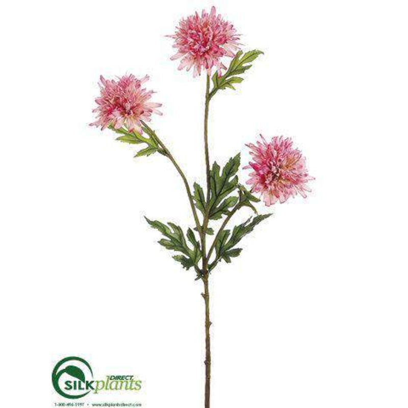 Aster Mum Spray – Pink – Pack of 12