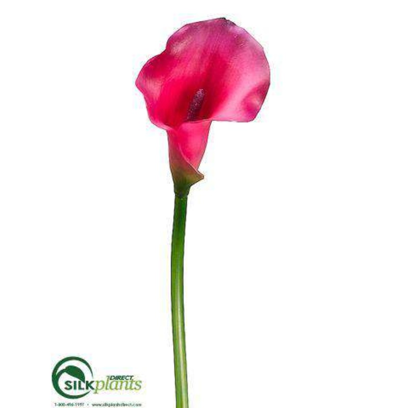 Calla Lily Spray – Beauty – Pack of 12