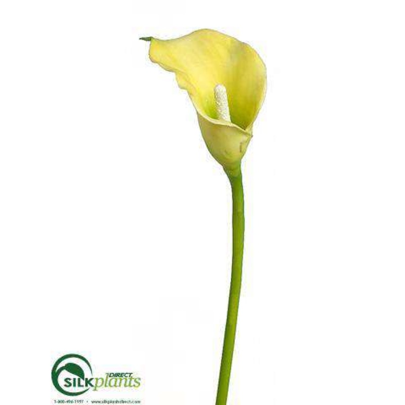 Calla Lily Spray – Green – Pack of 12
