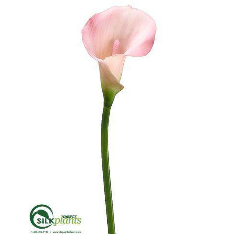 Calla Lily Spray – Pink – Pack of 12