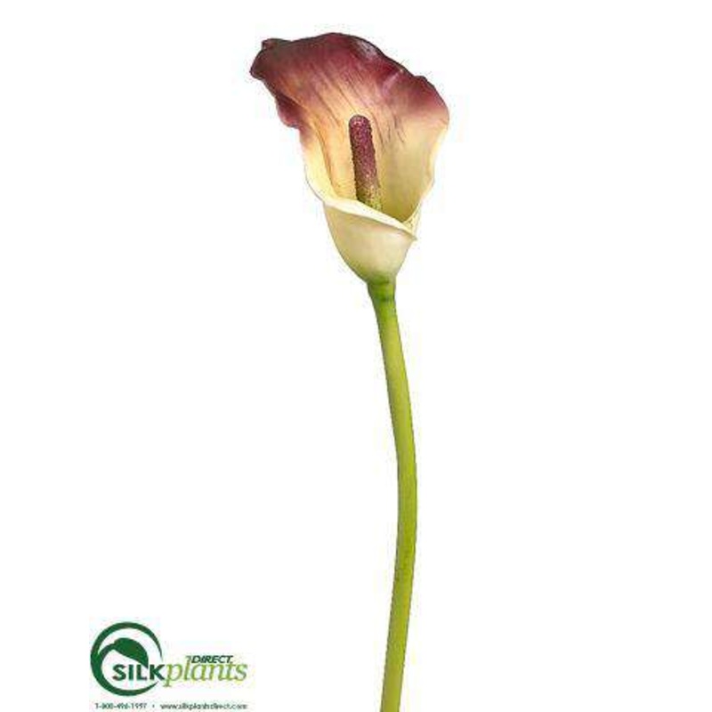 Calla Lily Spray – Plum Yellow – Pack of 12