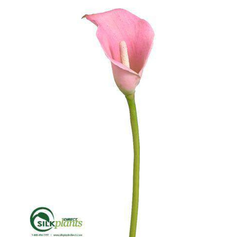Calla Lily Spray – Rose – Pack of 12