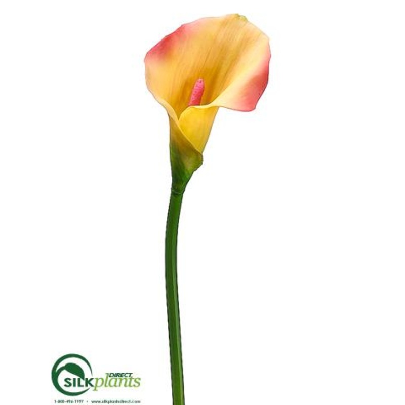 Calla Lily Spray – Yellow Pink – Pack of 12