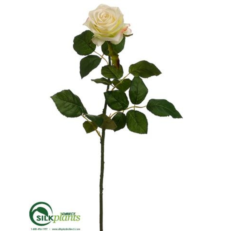 Confetti Rose Spray – Cream Green – Pack of 12