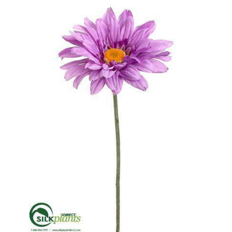 Gerbera Daisy Spray – Lavender – Pack of 12