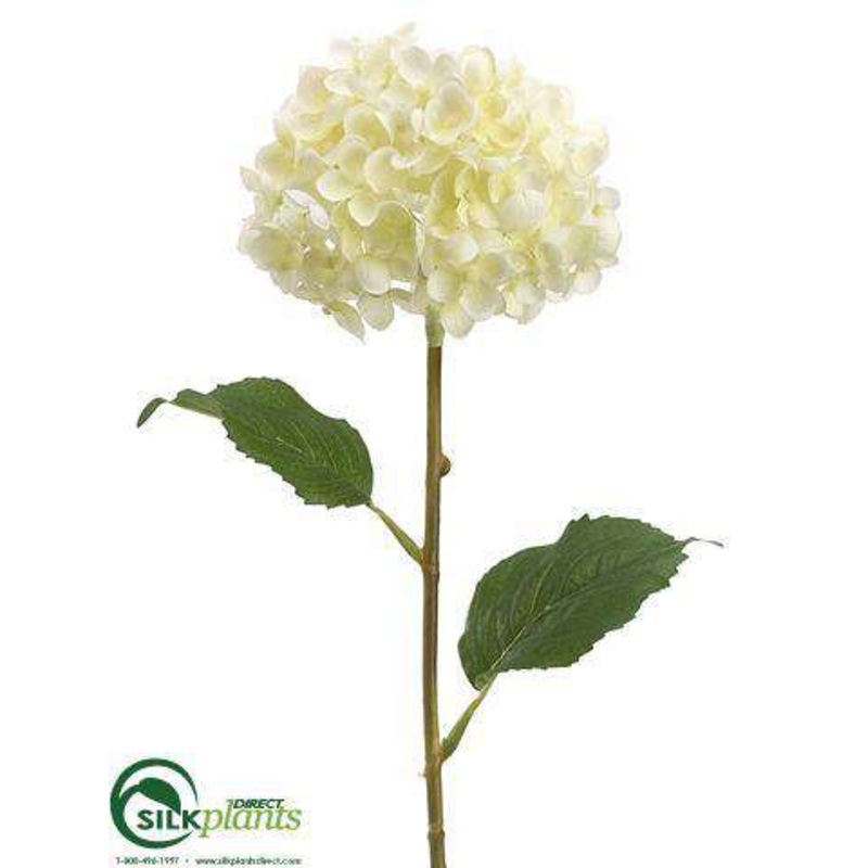 Hydrangea Spray – Cream – Pack of 12