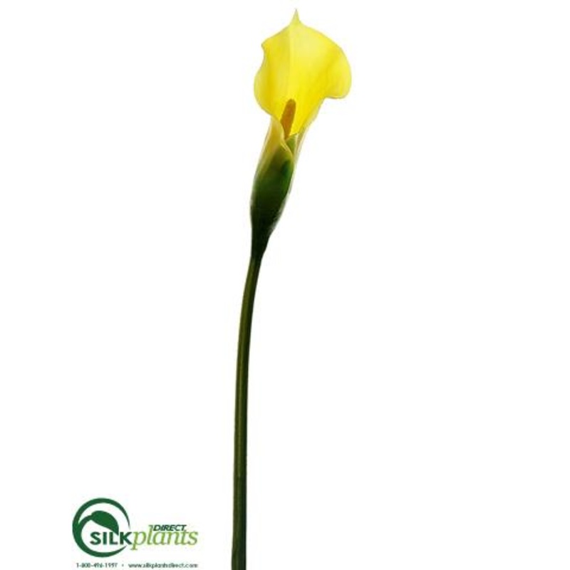 Large Calla Lily Spray – Yellow – Pack of 12
