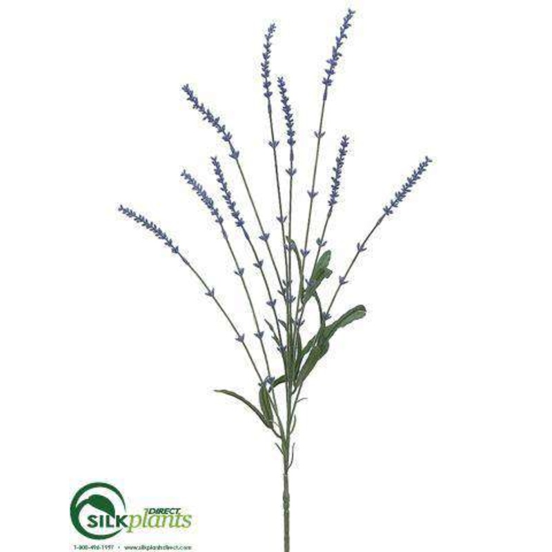 Lavender Spray – Blue – Pack of 24