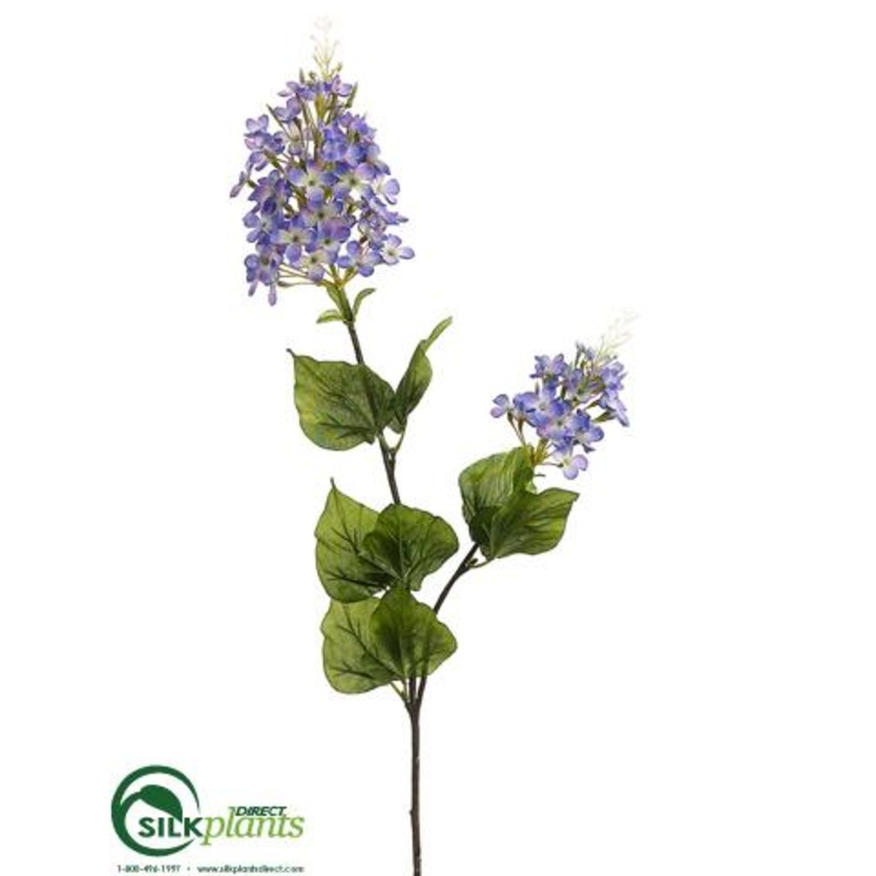 Lilac Spray – Blue Delphinium – Pack of 12