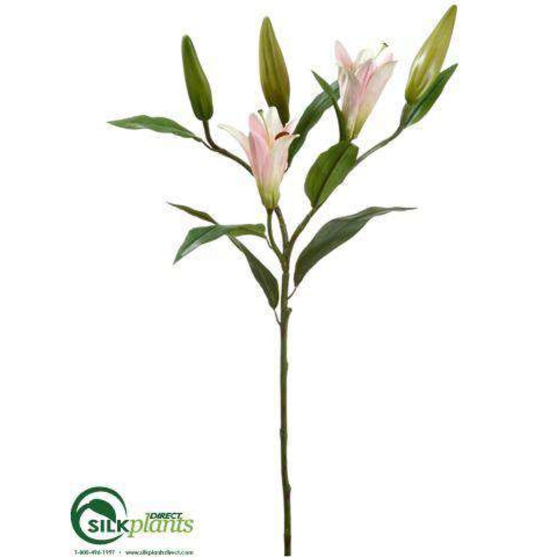 Lily Bud Spray – Cream Rubrum – Pack of 6