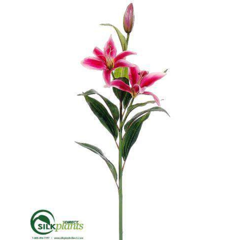 Lily Spray – Rubrum Pink – Pack of 12