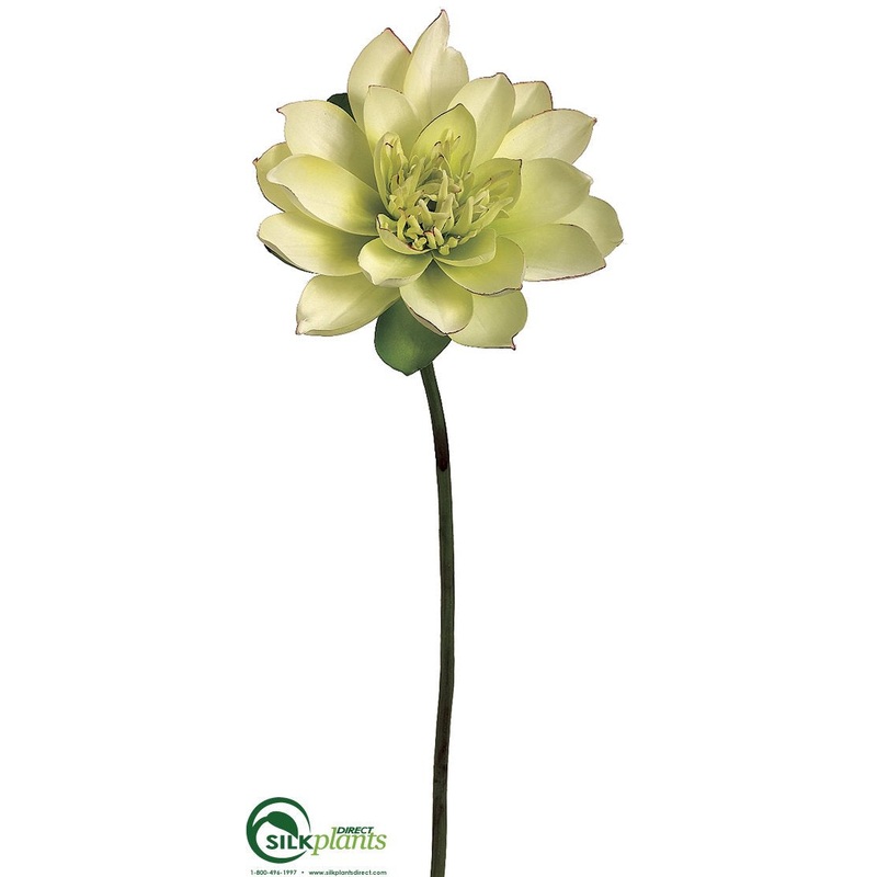 Lotus Bloom Spray – Green – Pack of 12