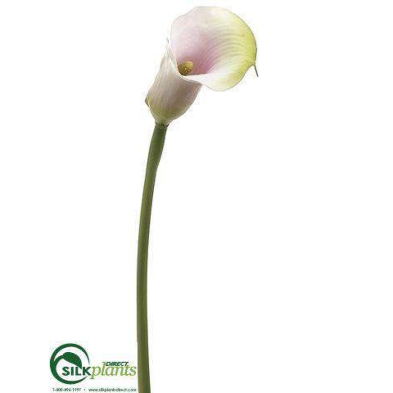Mini Calla Lily Spray – Green Pink – Pack of 12
