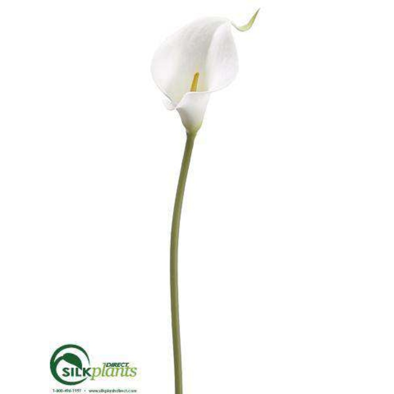 Mini Calla Lily Spray – White – Pack of 12