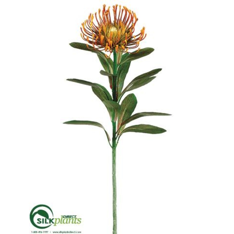 Protea Spray – Rust – Pack of 12