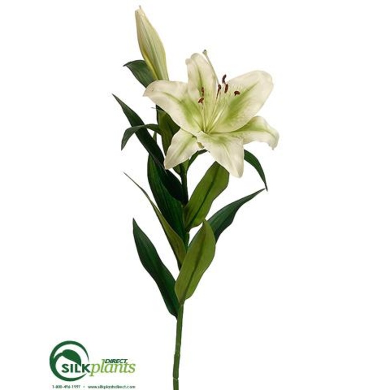 Stargazer Lily Spray – Green – Pack of 12