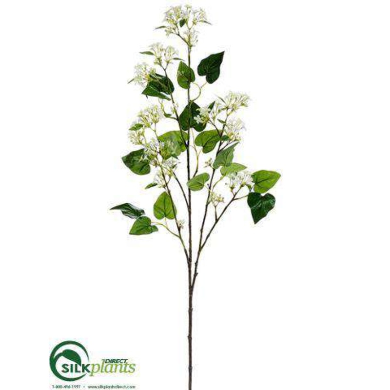 Wild Lilac Spray – Cream – Pack of 6