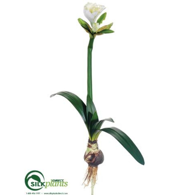 Amaryllis Spray – Cream Green – Pack of 6