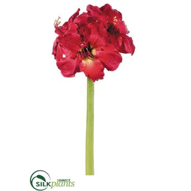 Amaryllis Spray – Red – Pack of 6