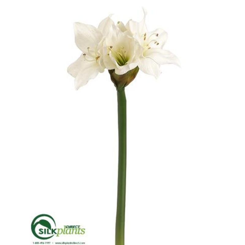 Amaryllis Spray – White – Pack of 12