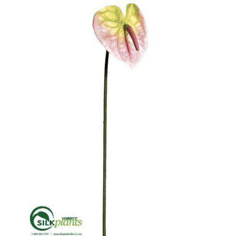Anthurium Spray – Pink – Pack of 12