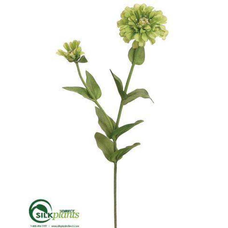 Zinnia Spray – Green – Pack of 12