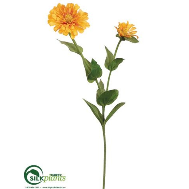 Zinnia Spray – Yellow Gold – Pack of 12