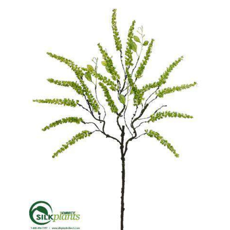 Amaranthus Spray – Green – Pack of 12