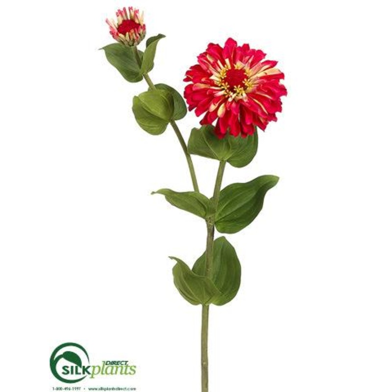 Zinnia Spray – Cerise – Pack of 12