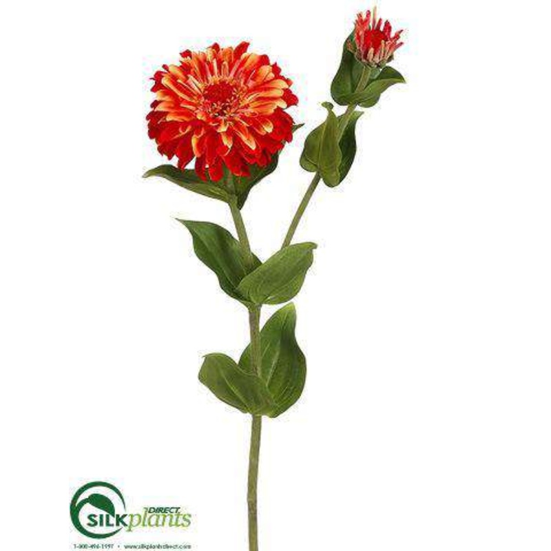 Zinnia Spray – Orange Yellow – Pack of 12