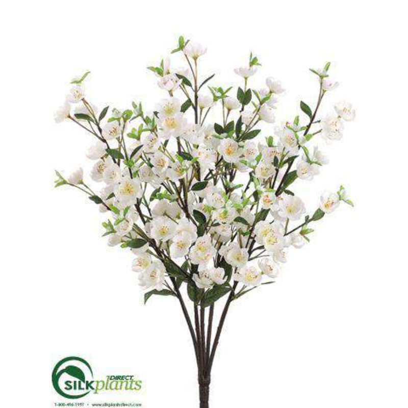 Apple Blossom Bush – White – Pack of 12