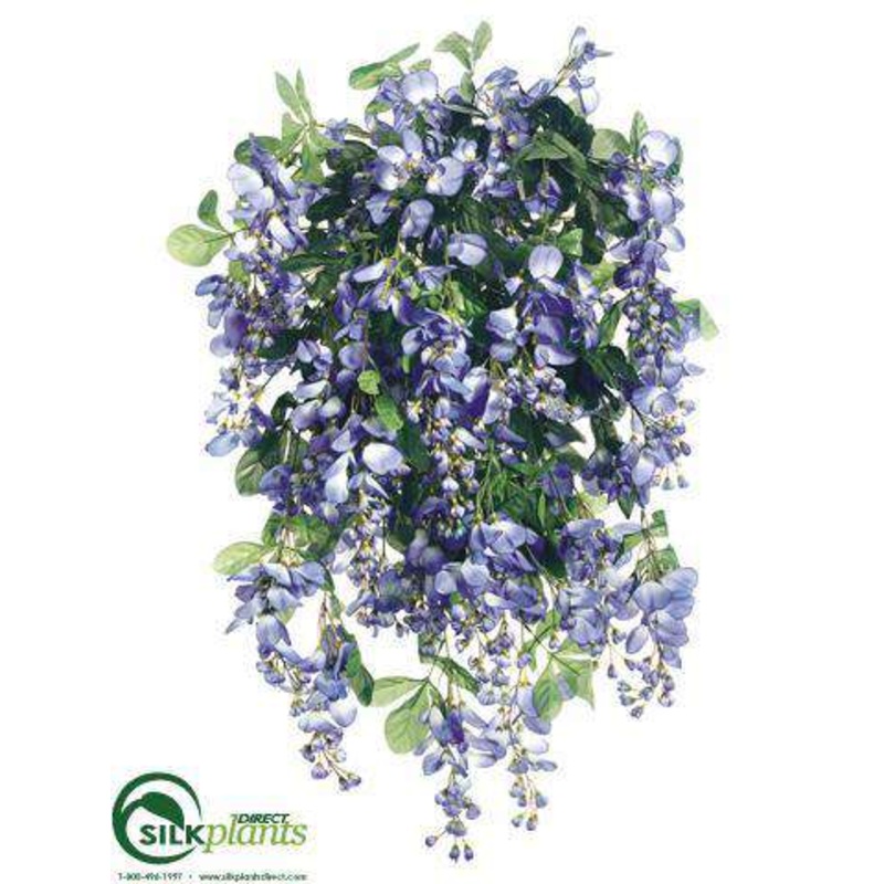 Wisteria Bush – Blue – Pack of 4