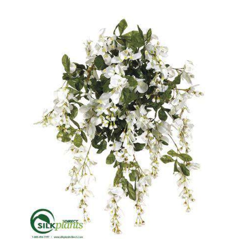 Wisteria Bush – Cream White – Pack of 6