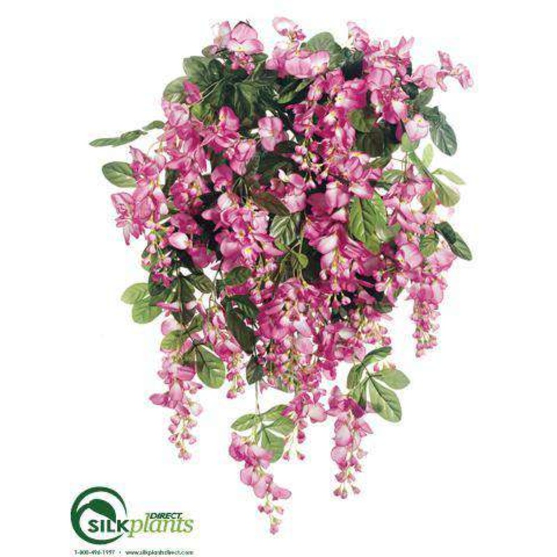 Wisteria Bush – Fuchsia – Pack of 4