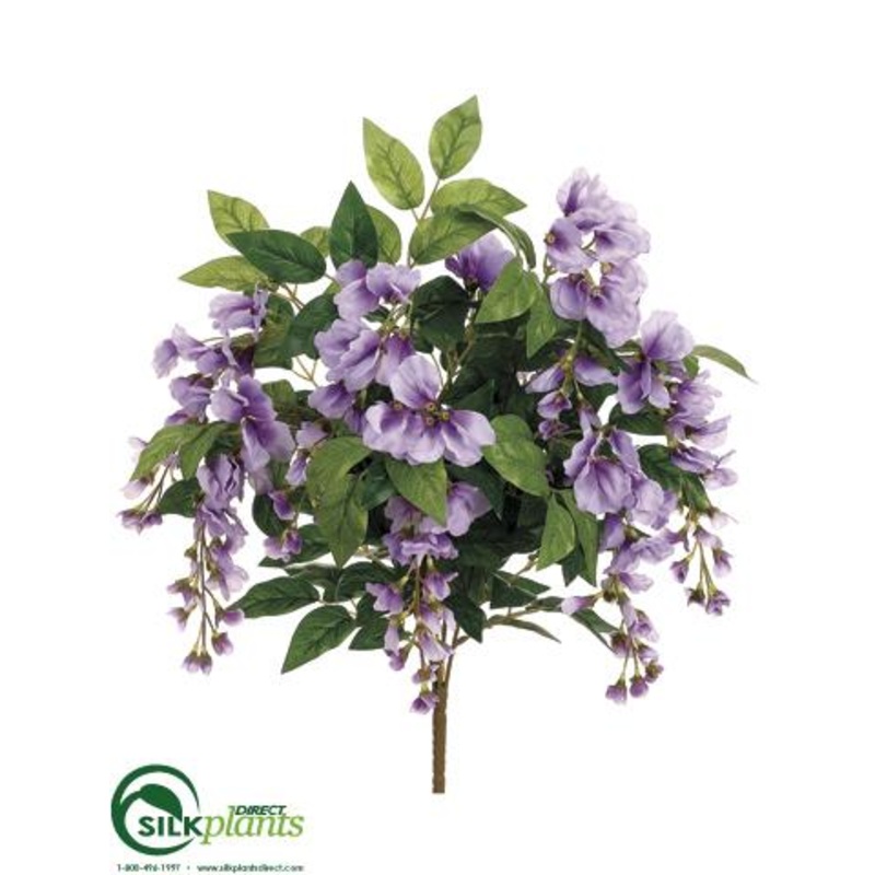 Wisteria Bush – Purple Blue – Pack of 12