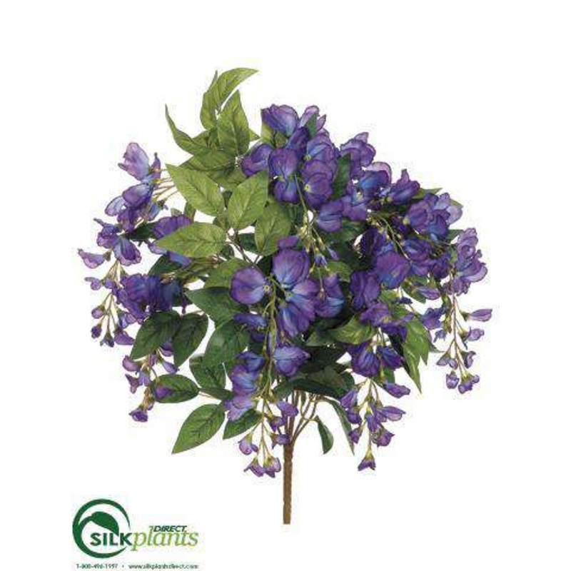 Wisteria Bush – Violet Blue – Pack of 12