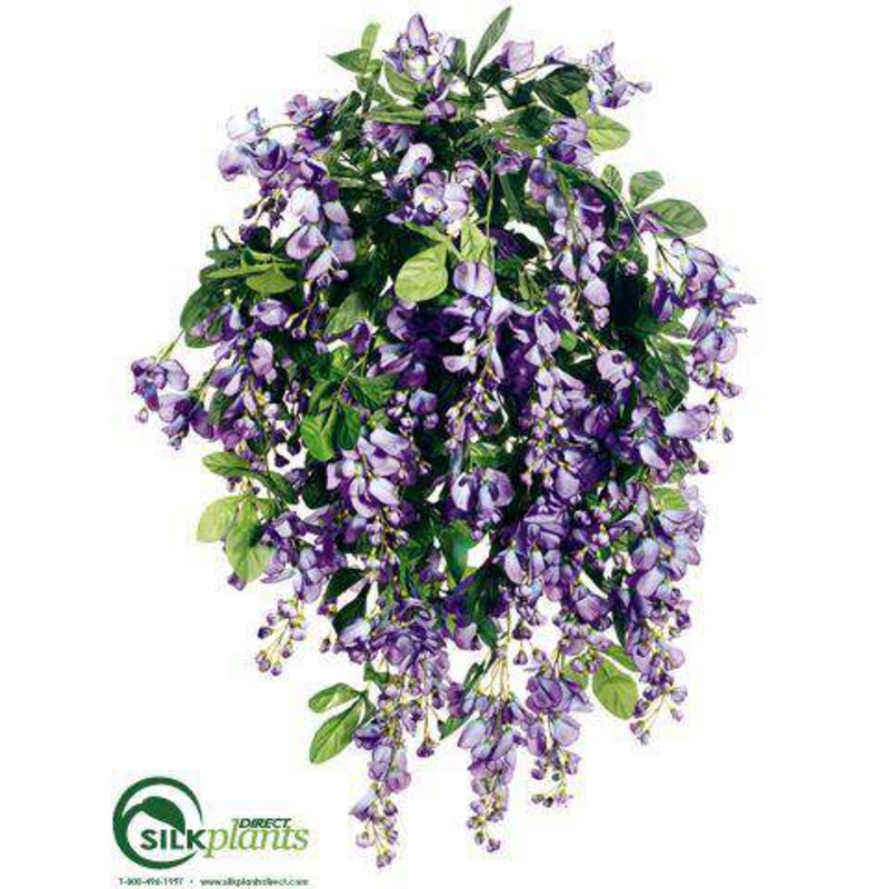 Wisteria Bush – Violet Blue – Pack of 4