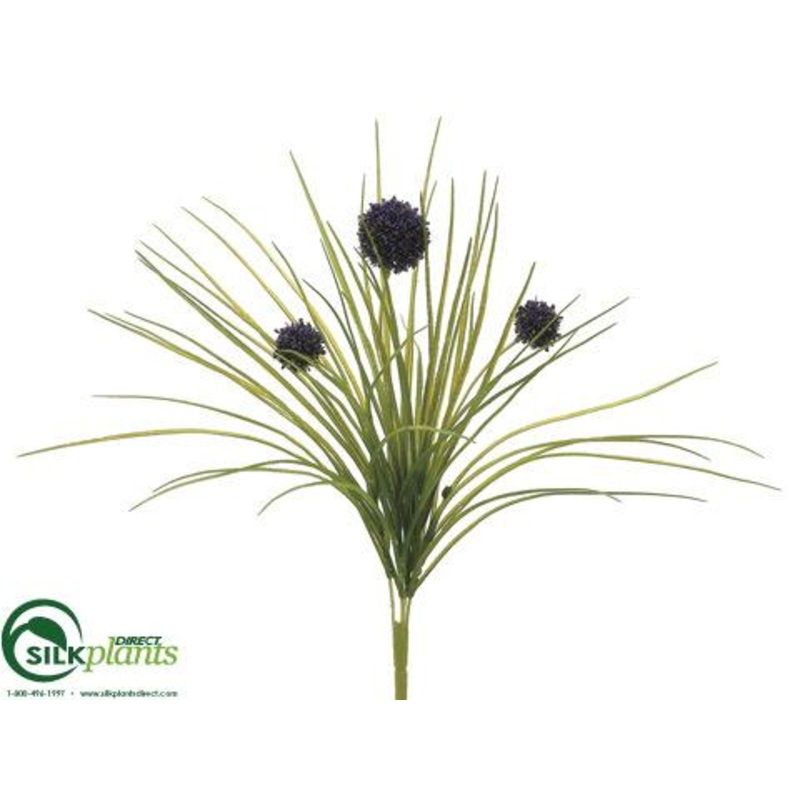 Allium Bush – Purple – Pack of 12