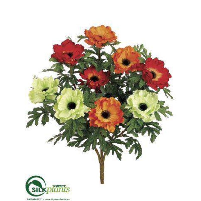 Anemone Bush – Orange Flame – Pack of 12