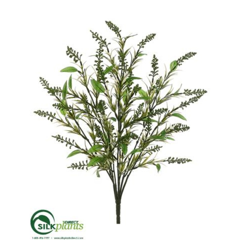 Astilbe Bush – Green – Pack of 12