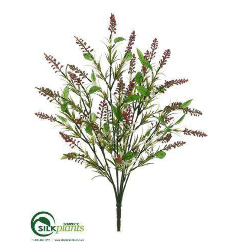 Astilbe Bush – Pink Two Tone – Pack of 12