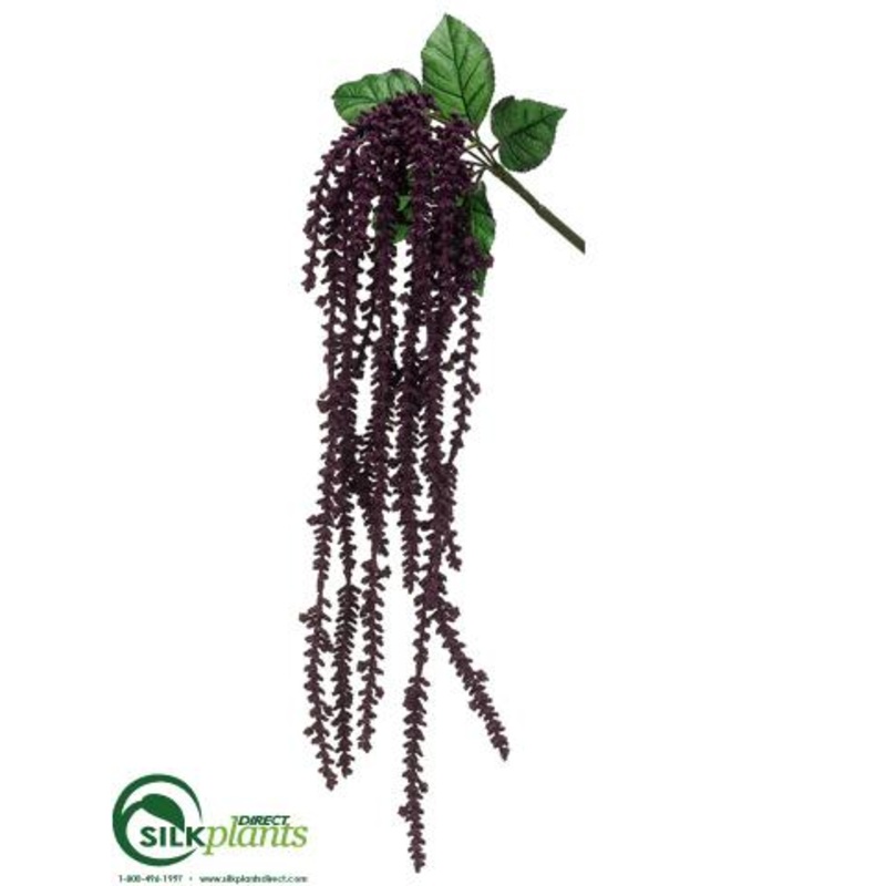Astilbe Hanging Bush – Eggplant – Pack of 6