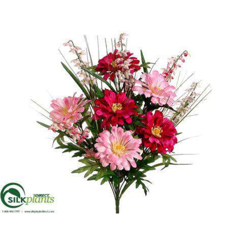 Zinnia, Bellflower Bush – Beauty Pink – Pack of 12