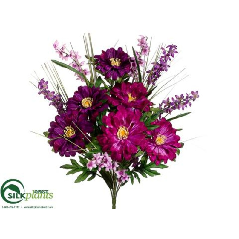 Zinnia, Bellflower Bush – Purple Orchid – Pack of 12