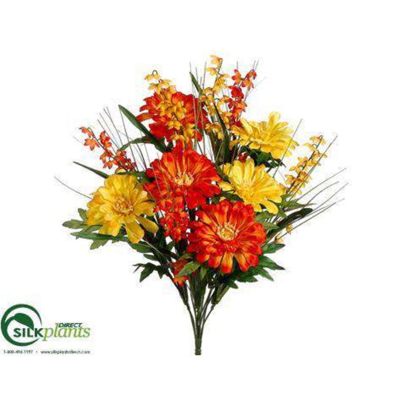 Zinnia, Bellflower Bush – Yellow Orange – Pack of 12