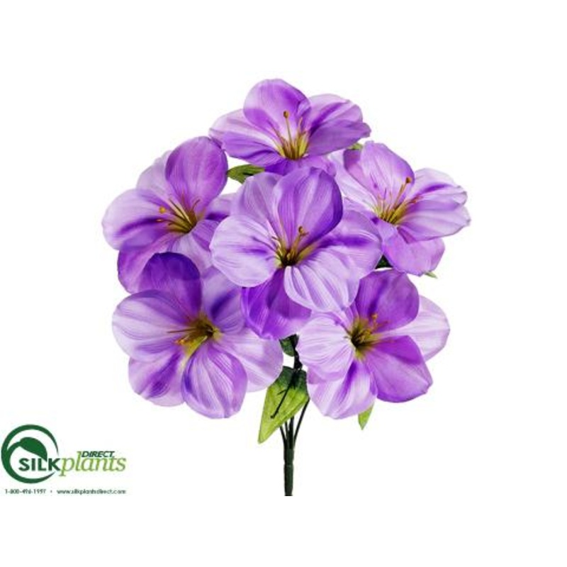 Amaryllis Bush – Lavender – Pack of 12