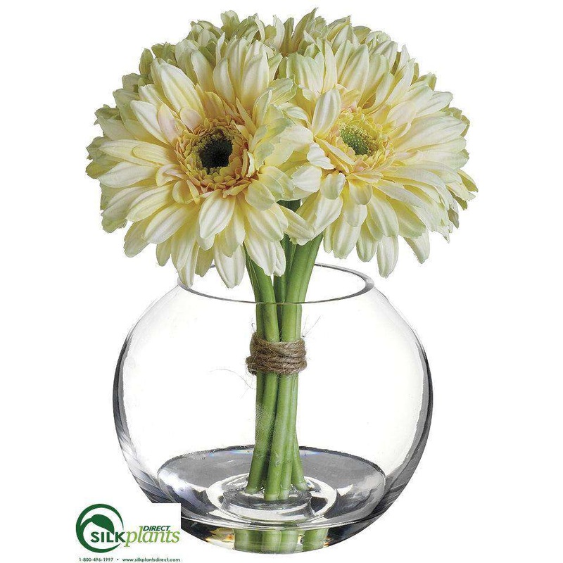 Gerbera Daisy – Yellow Light – Pack of 4
