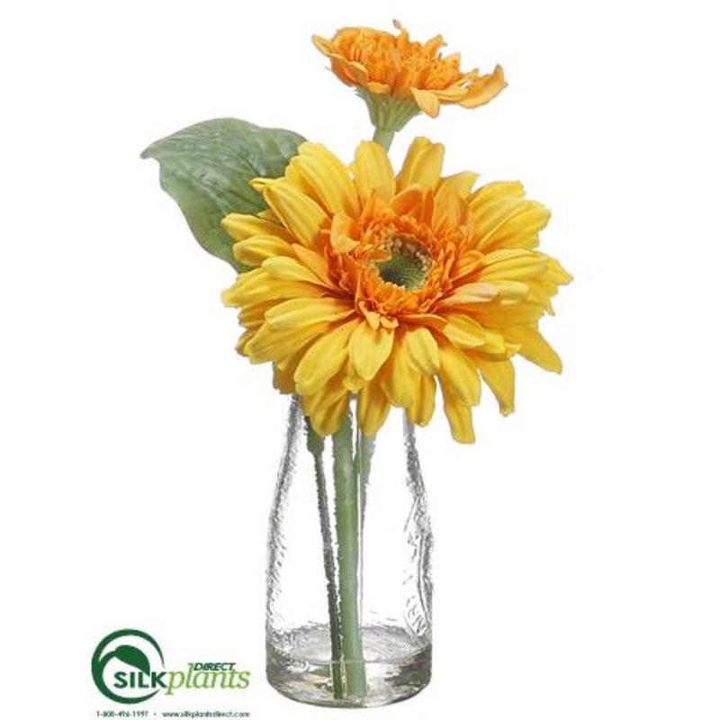Gerbera Daisy – Yellow – Pack of 12