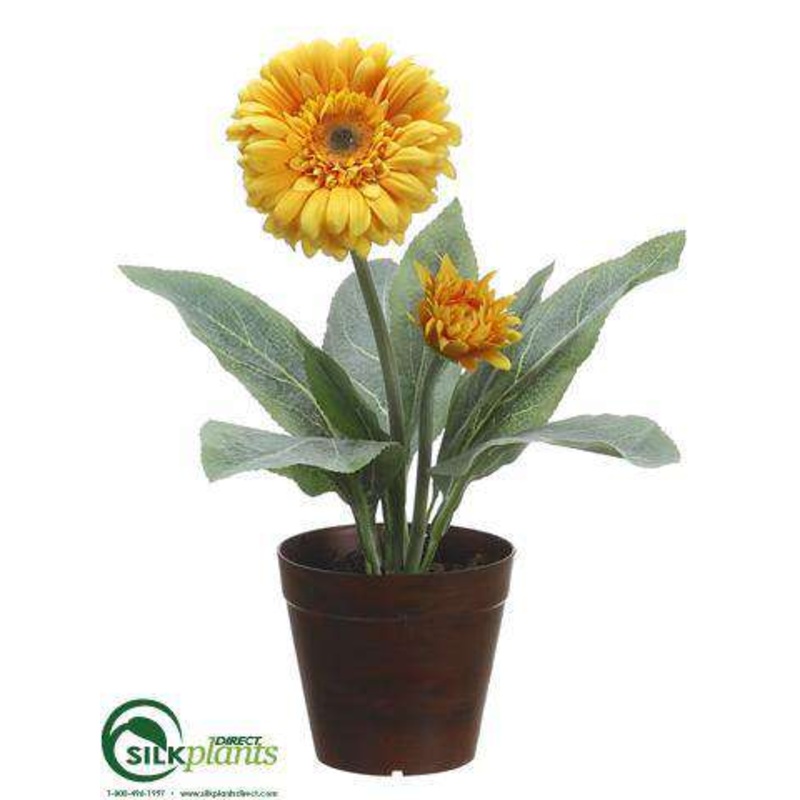 Gerbera Daisy – Yellow – Pack of 3