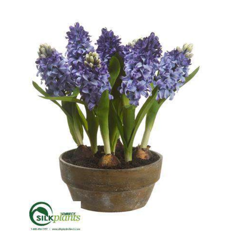 Hyacinth – Blue – Pack of 2